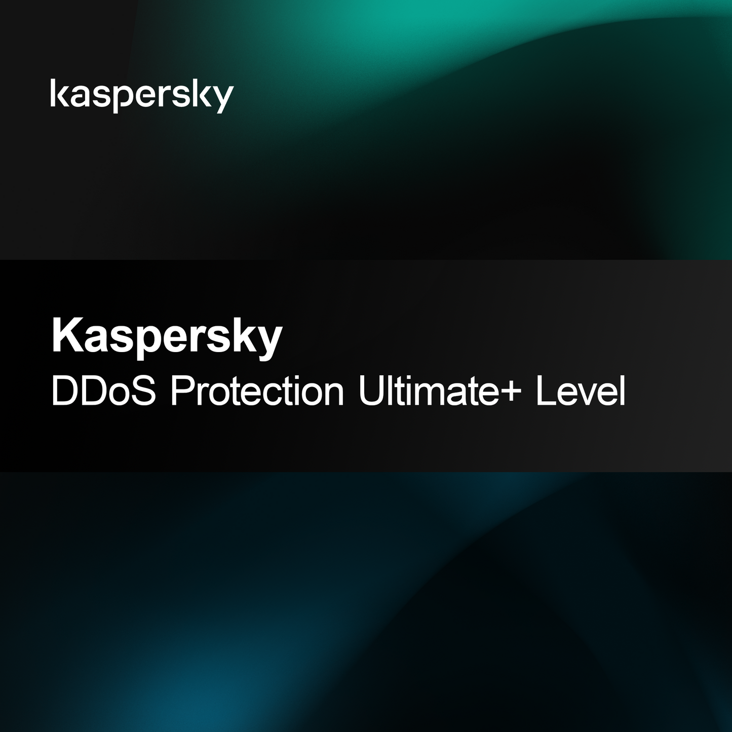 Kaspersky DDoS-skydd, Ultimate+ nivå