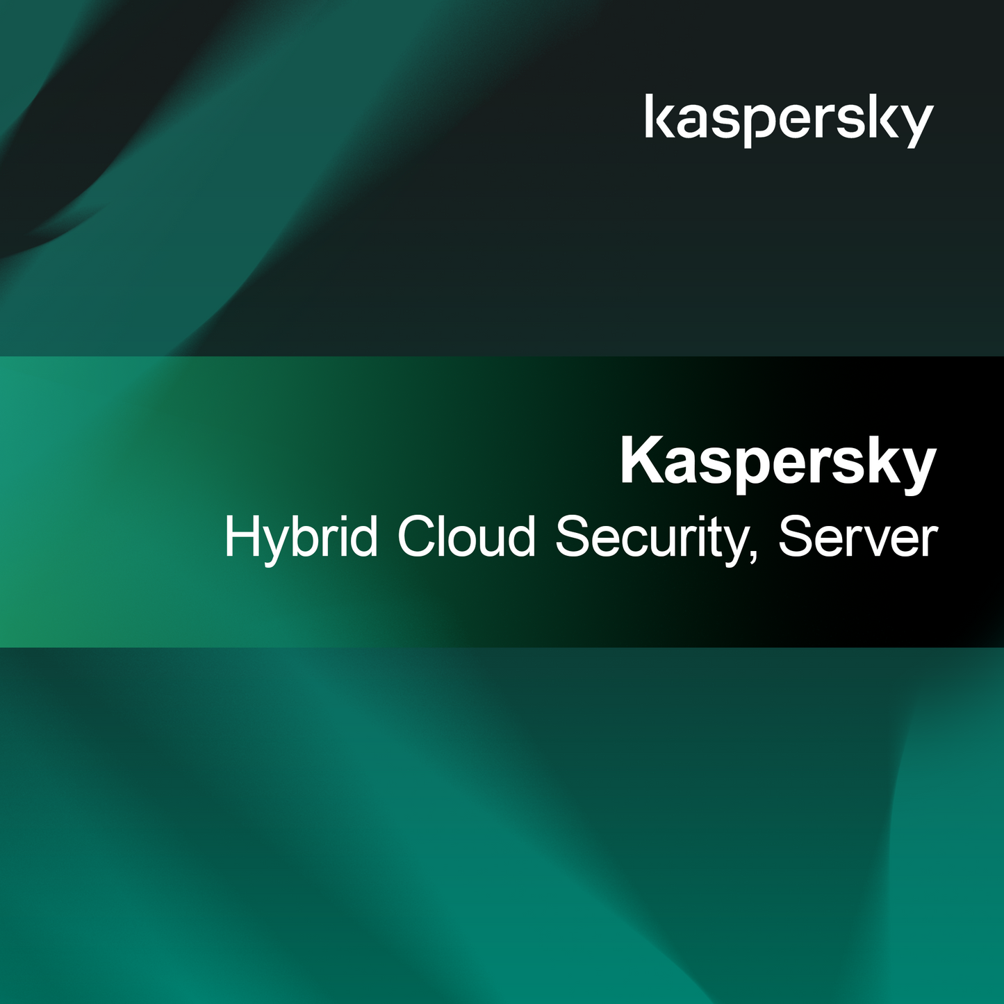 Kaspersky Хибридна облачна сигурност, Сървър