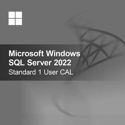 Microsoft SQL Server 2022 Standard 1 användar-CAL